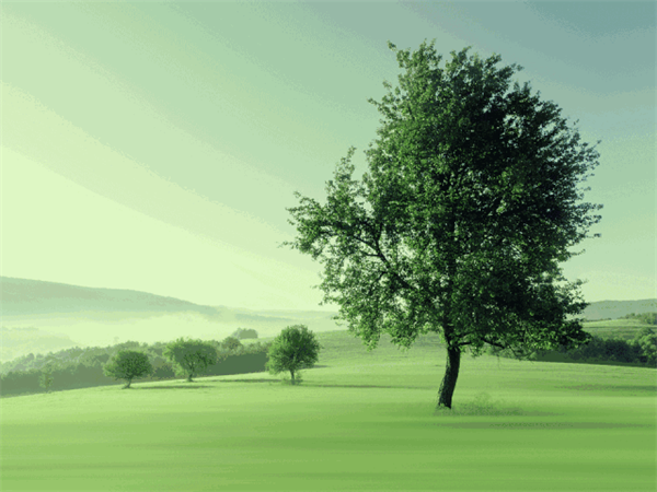 2018生活家年會產(chǎn)品關(guān)鍵詞:國際化!年輕化! 2018生活家年會產(chǎn)品關(guān)鍵詞:國際化!年輕化!