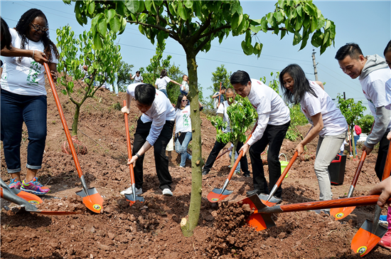 中國環保家居網鏈 中國環保家居網鏈
