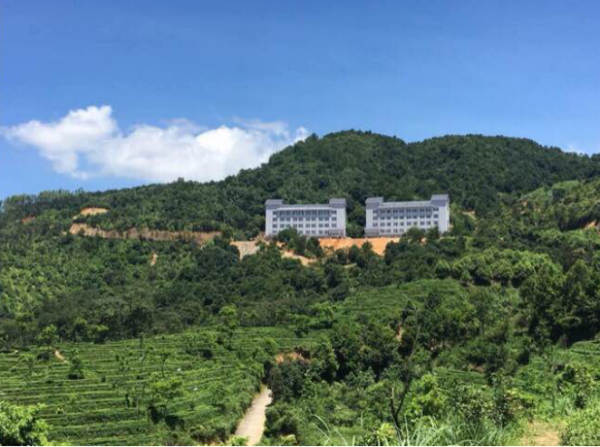 光照人茶業品牌4月21日亮相北京國際民宿產業博覽會 光照人茶業品牌4月21日亮相北京國際民宿產業博覽會