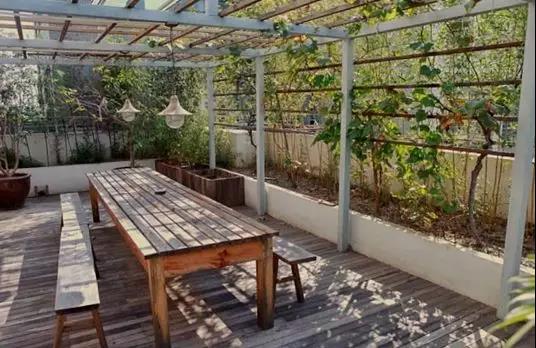 陽光灑在枝蔓上 投下斑駁的影子 天花的時間印記 融于空間本身 空間隨著時間變化 隨著陽光生長 它 是有生命的 陽光灑在枝蔓上 投下斑駁的影子 天花的時間印記 融于空間本身 空間隨著時間變化 隨著陽光生長 它 是有生命的