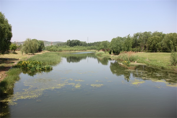 1525447975812418.jpg IMG_1525.JPG