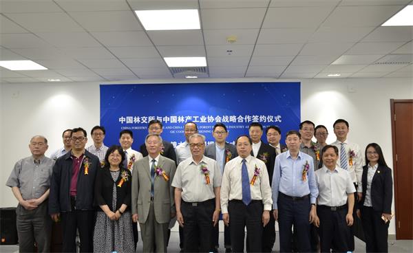 1527836330540313.jpg 04.jpg