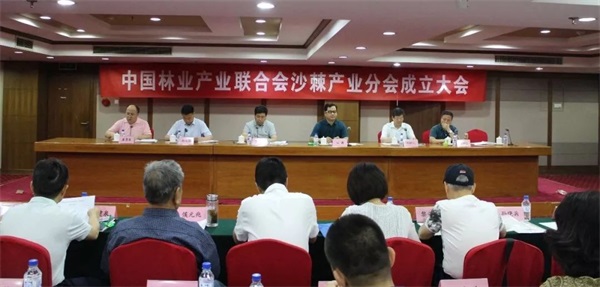 中國環保家居網鏈 中國環保家居網鏈