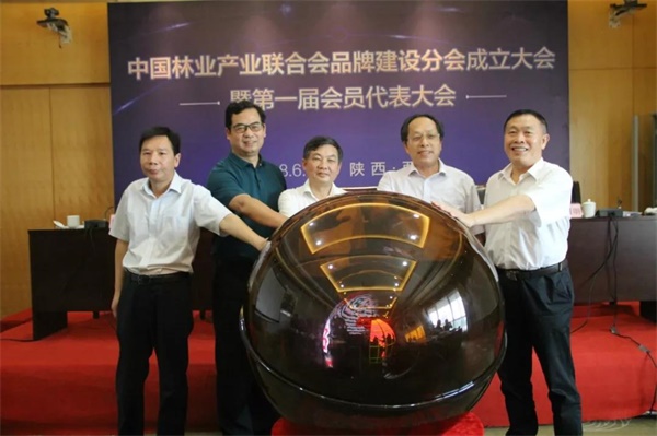 1529851512713328.jpg 2.jpg