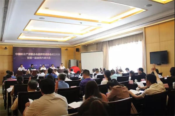 1529851557161310.jpg 3.jpg