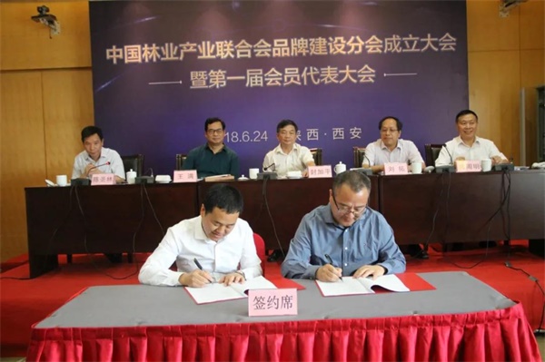 1529851595252413.jpg 4.jpg