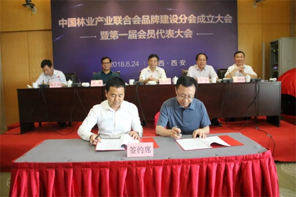 1529851604975155.jpg 5.jpg