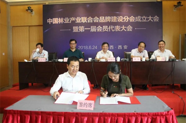 1529851612810803.jpg 6.jpg