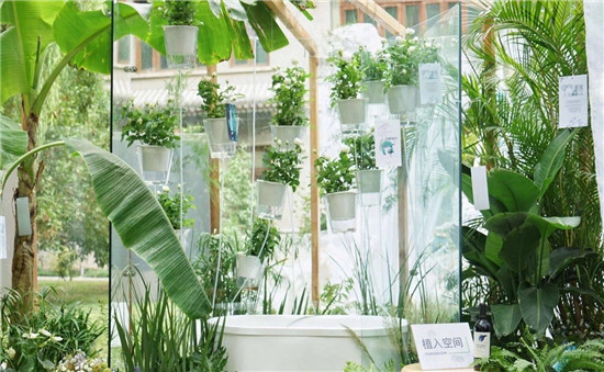 1539498378156346.jpg a56c1a7a801329416c1e2e45270_p24_mk24_sX0.jpg