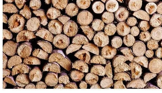 上海華明地板:帶你進入生趣盎然的詩和遠方 上海華明地板:帶你進入生趣盎然的詩和遠方