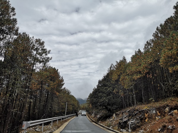 1541230445109187.jpg 微信圖片_20181103015747.jpg