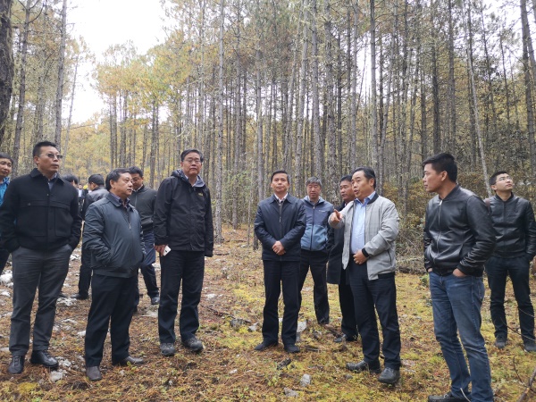 1541230502546690.jpg 微信圖片_20181103015731.jpg