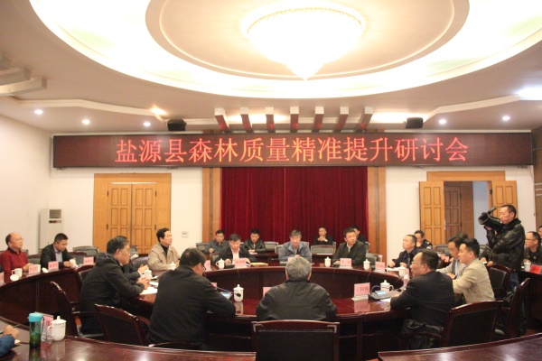 1541230548492088.jpg IMG_8735.JPG