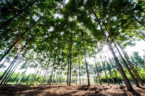 1563451337255608.jpg 微信圖片_20190718200104.jpg