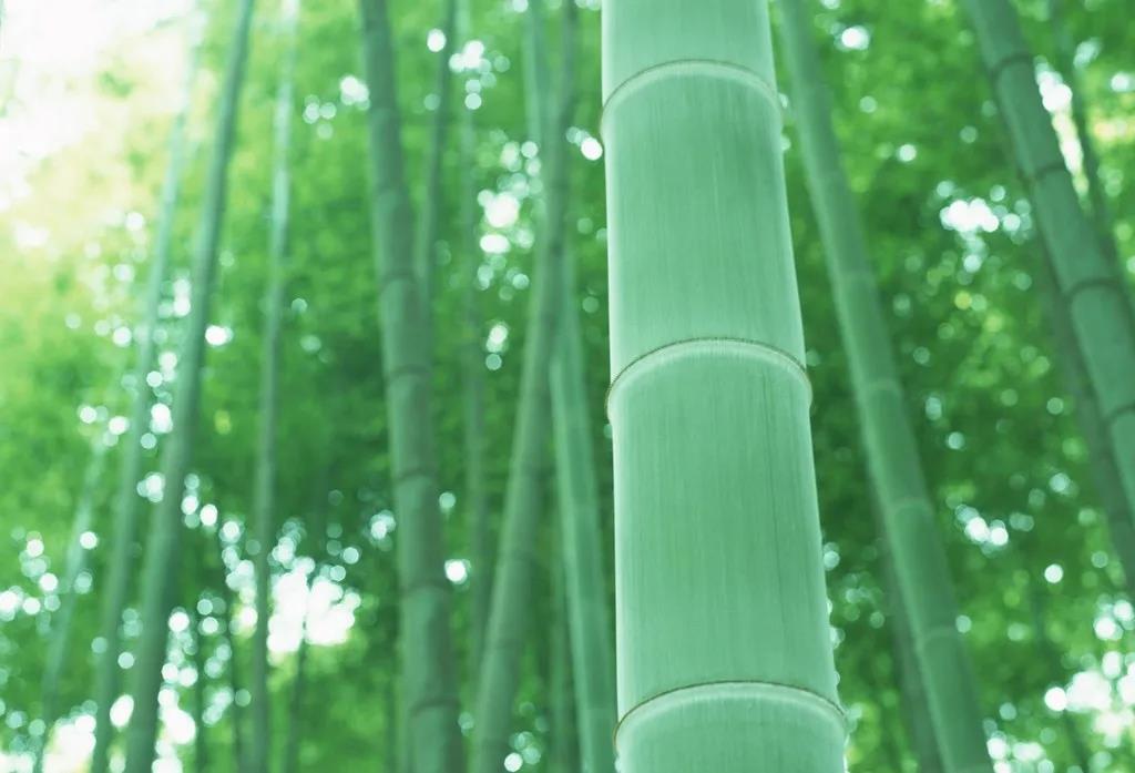 1594690098863105.jpg 1.jpg