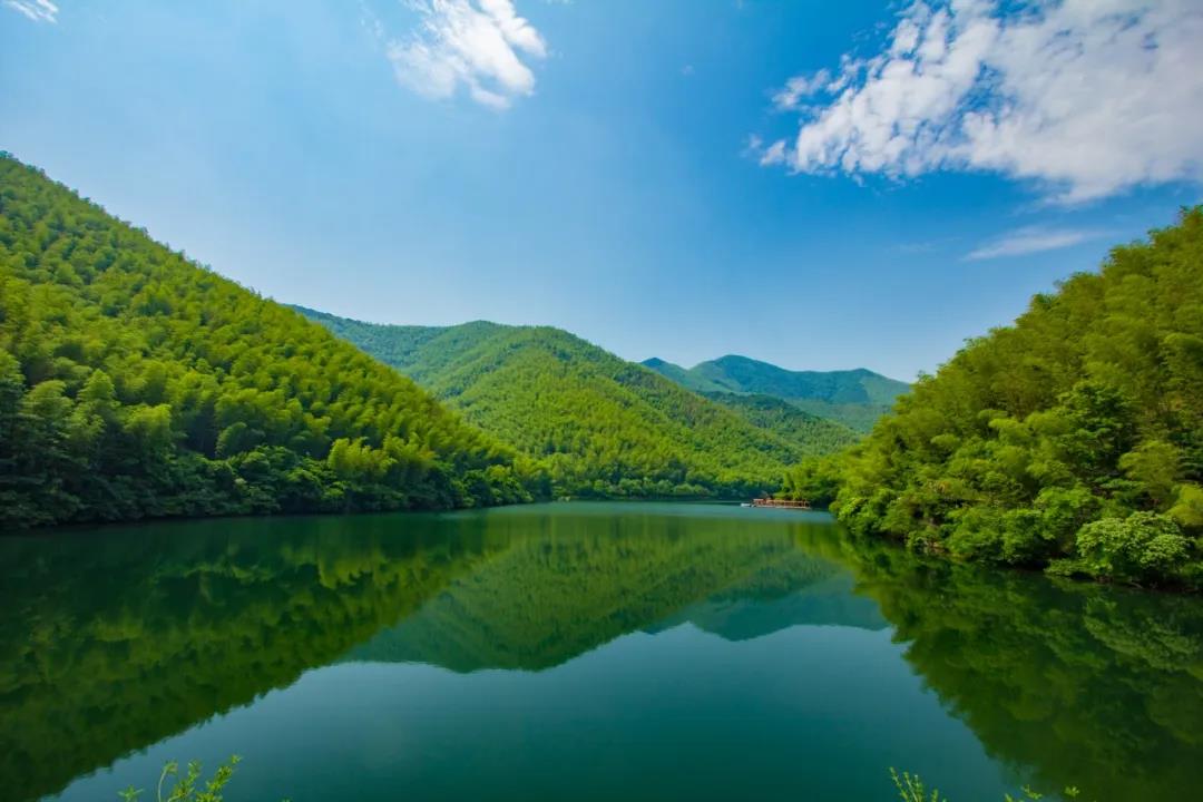 1594690118880314.jpg 2.jpg