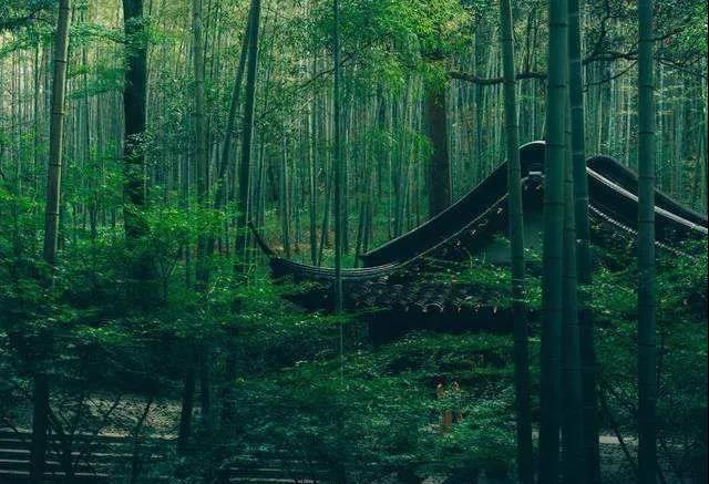 1594690180400456.jpg 5.jpg