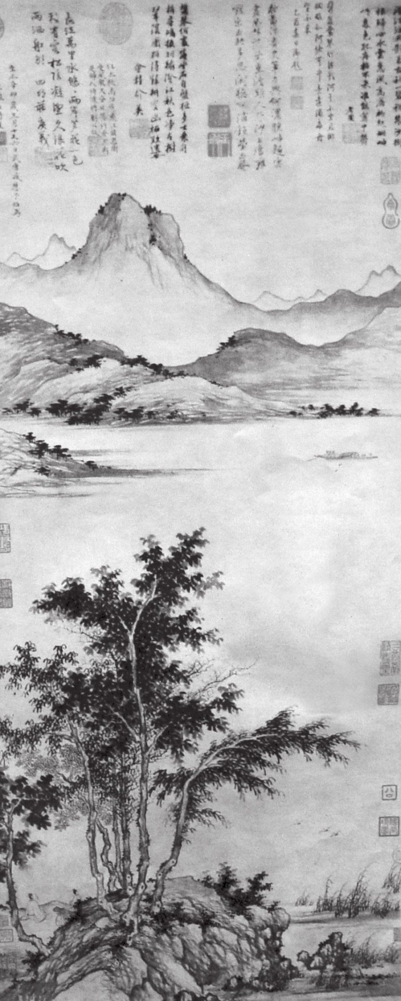 1597384885611470.jpg 微信圖片_20200814135237.jpg