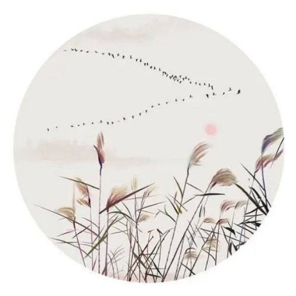 1598427264230851.jpg 美約風家居之家居設計美學探微(之四) ——錯彩鏤金&初發(fā)芙蓉857.jpg