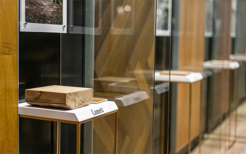 1601741826699011.jpg 640.jpg