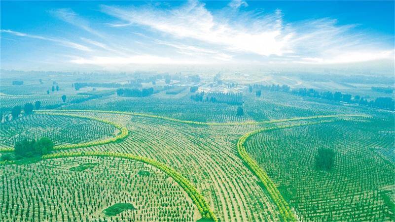 1604924890527504.jpg 圖片4.jpg