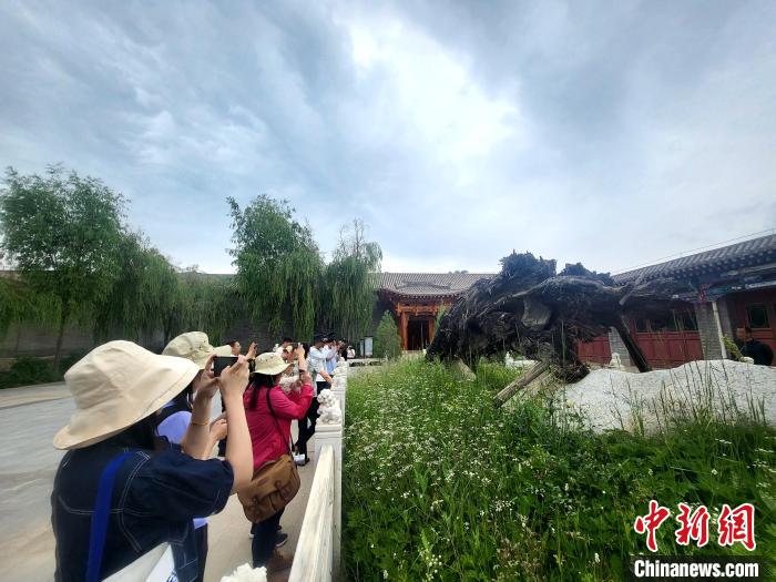 圖為媒體記者在青海永錄民俗參觀采訪。 薛蒂 攝 圖為媒體記者在青海永錄民俗參觀采訪。 薛蒂 攝